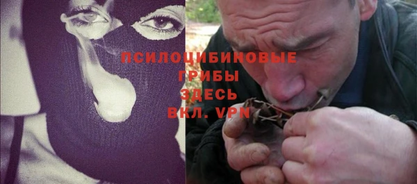 крисы Михайлов