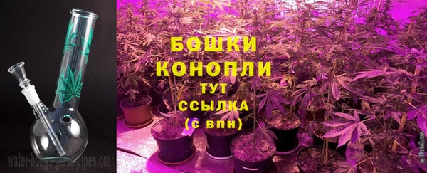 каннабис Осташков