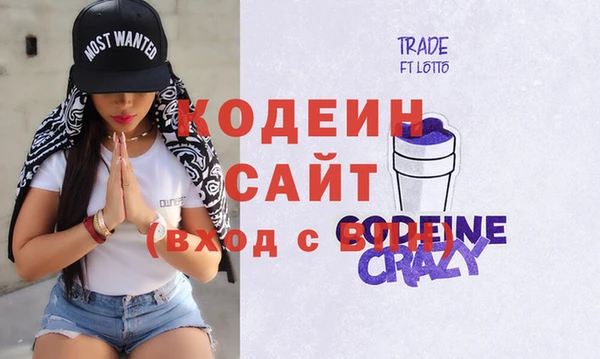 индика Михайловск