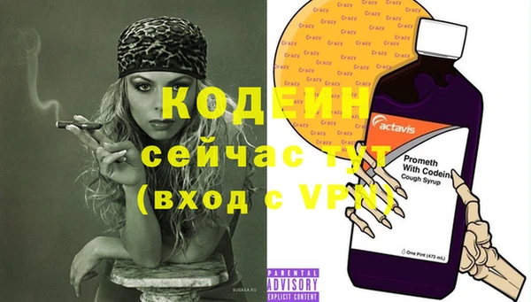 индика Михайловск