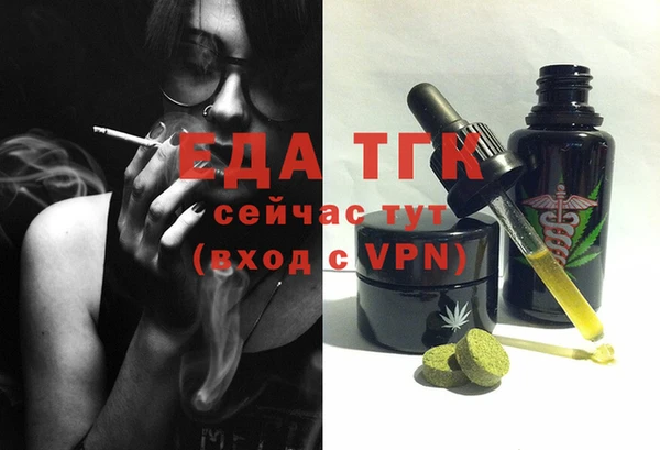 индика Михайловск
