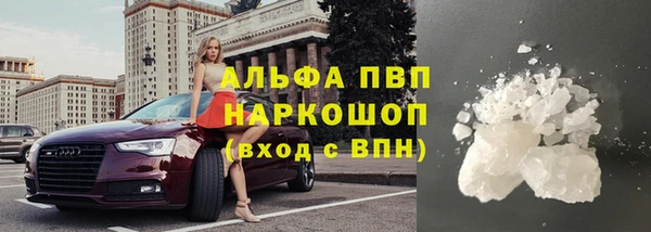 индика Михайловск