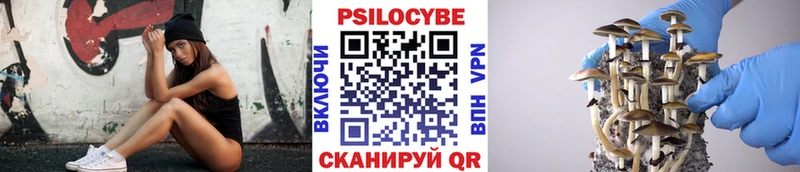 Галлюциногенные грибы прущие грибы  KRAKEN зеркало  Нариманов  где купить наркоту 